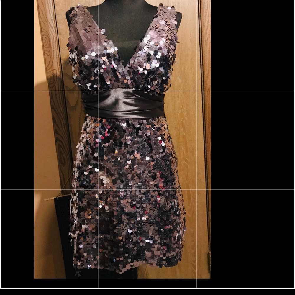 Beautiful sequined dress